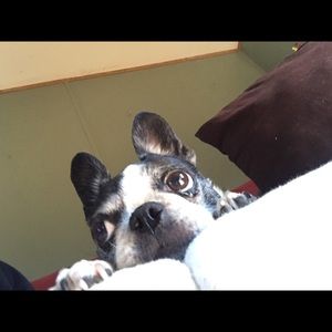 Meet your Posher, Hunter